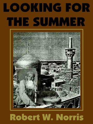 cover image of Looking for the Summer
